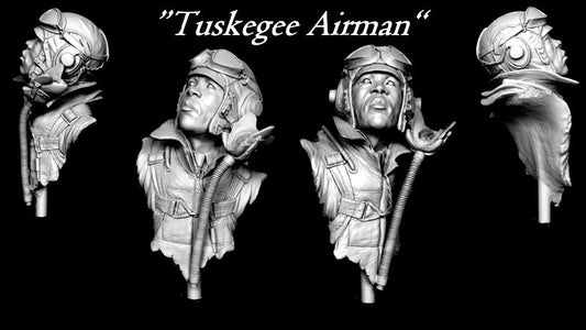 1.6th scale Tuskergee Airman