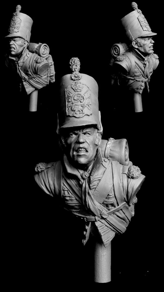 1.9th scale bust.Private 88th Reg't of Foot